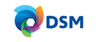 ˹DSM