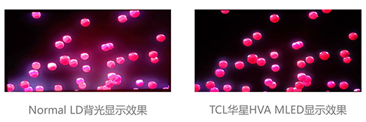 TCLAǌFMiniLED늸@ʾaͻ